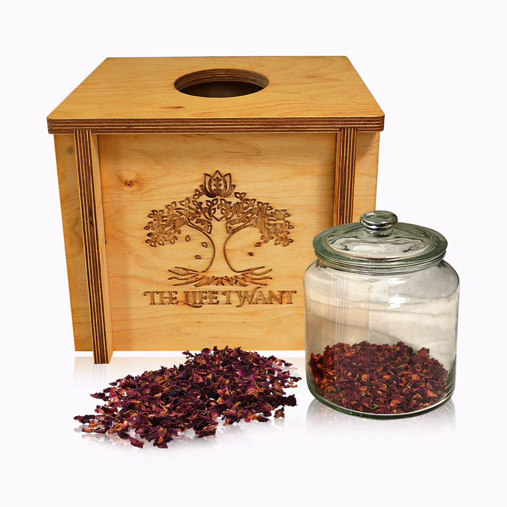 Yoni-Throne The Life I Want – Yoni Steaming Throne Kit - Image 1