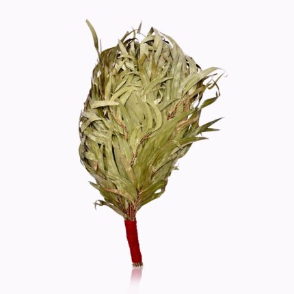 Handmade Eucalyptus Chakapa ritual rattle with dried leaves and a recycled cotton-wrapped handle